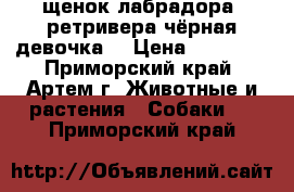 щенок лабрадора -ретривера(чёрная девочка) › Цена ­ 18 000 - Приморский край, Артем г. Животные и растения » Собаки   . Приморский край